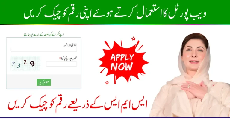 8171 Web Portal 2025 Check Recent Release Payment Using CNIC – Step by Step Guide