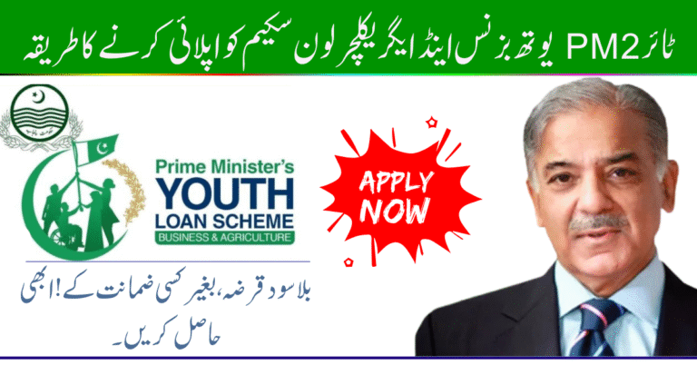 How to Apply Tier 2 PM Youth Business and Agriculture Loan Scheme (PMYB&ALS) – September 2025 Guide