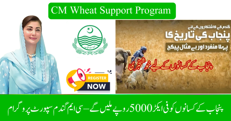 Punjab Farmers to Get Rs 5000 Per Acre – CM Wheat Support Program 2025 Registration Open Now