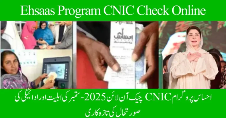 Ehsaas Program CNIC Check Online (1)