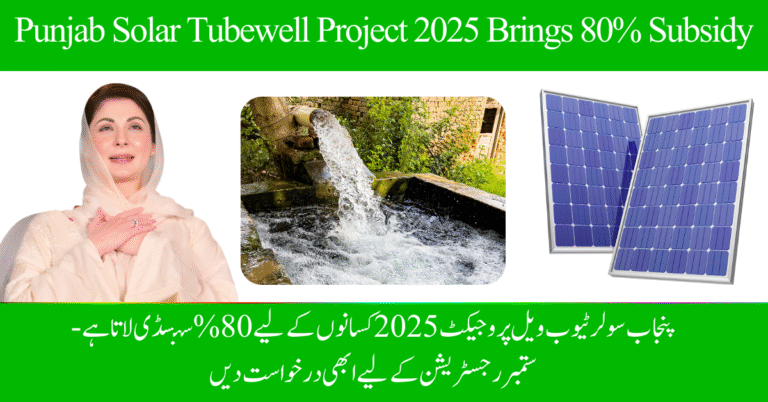 Punjab Solar Tubewell Project 2025 Brings 80% Subsidy (1)